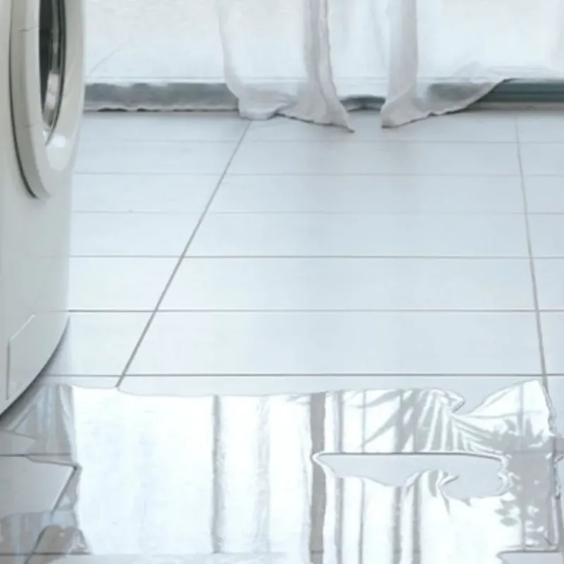 Appliance Leak Cleanup in Nantucket County, MA