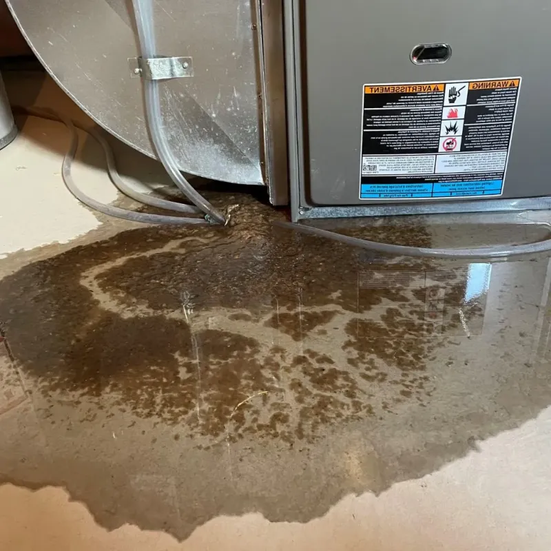 Pipe Burst and Leak Restoration in Nantucket County, MA